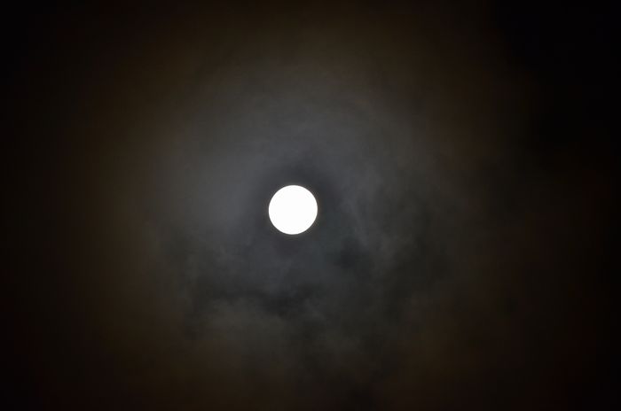 DSC_0038a