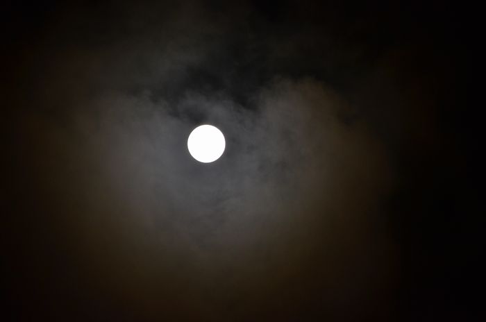 DSC_0037a